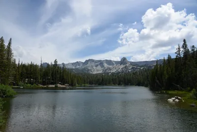 DSC_3224 (Large).JPG